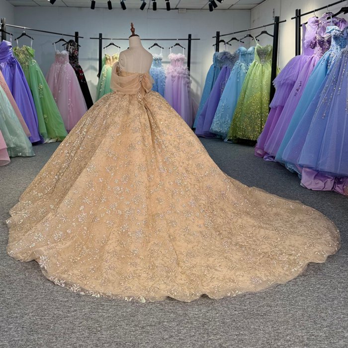 2025 Gold Quinceanera Dress Sweet 15 Evening Dress Crystal Sleeveless Ball Gown Beading Vestido De Niña De Las Flores 1230 - Image 6