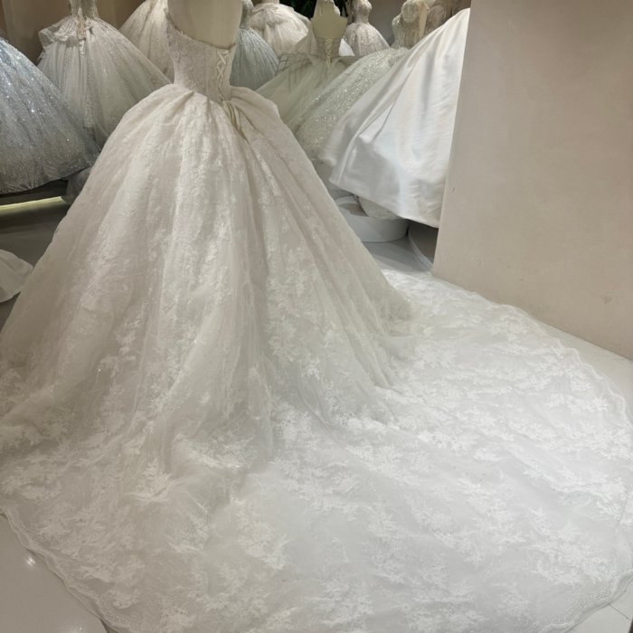 2025 Wedding Dress Elegant Bridal Gown Flowers Vestidos De Novias Sequined Beading Lace Evening Party Dress (Customer Link - Add Sleeves - 70% Deposit) - Image 2