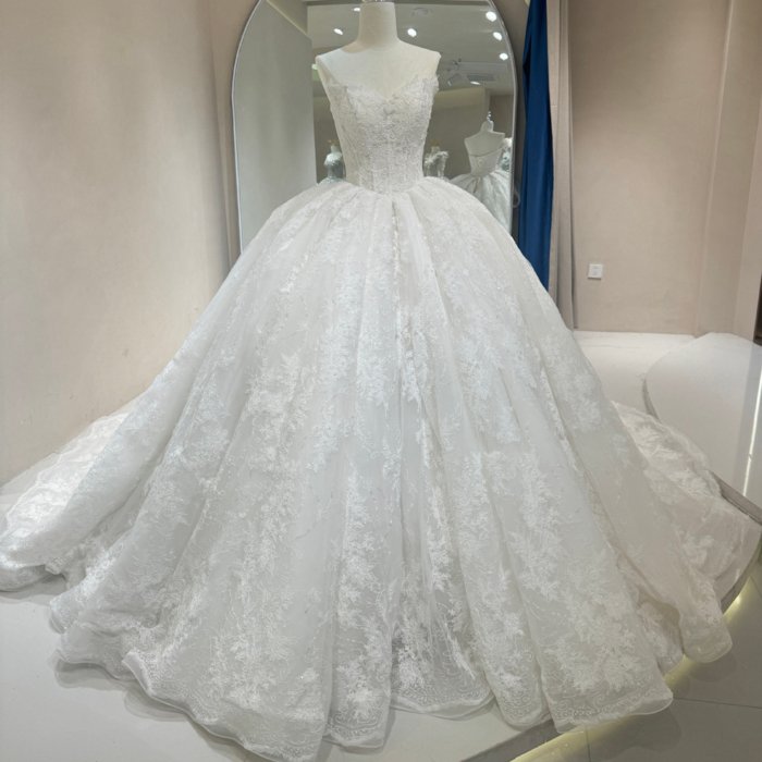 2025 Wedding Dress Elegant Bridal Gown Flowers Vestidos De Novias Sequined Beading Lace Evening Party Dress (Customer Link - Add Sleeves - 70% Deposit)