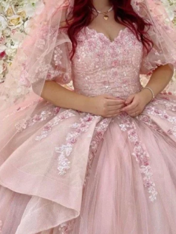 Quinceanera Dress Ball Gown Beaded Design (Customer Link - Customized Dress with Veil)