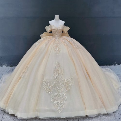 Quinceanera Dresses Evening Dresses Lace Sweet 16 Vestidos De Quinceanera Customized MC76 (Customer link)